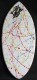 The TOP Skimboard manufacturer ZAP brings a price any kids beginner skimboarder can afford.