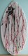 The TOP Skimboard manufacturer ZAP brings a price any beginner skimboarder can afford.