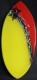 The TOP Skimboard manufacturer ZAP brings a price any kids beginner skimboarder can afford.