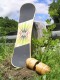 The Indy by Vew Do Balance Boards