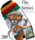 Sensei Trainer Kite with The Progression Dvd