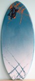 The TOP Skimboard manufacturer ZAP brings a price any beginner skimboarder can afford.