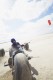 Beamer V Buggy Kite