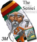 Sensei Trainer Kite with The Progression Dvd