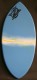 The TOP Skimboard manufacturer ZAP brings a price any kids beginner skimboarder can afford.