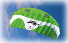 Hydra 350 Kite Hydra 350 Trainer Kite