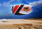 2011 Skydog First Foil Trainer Kite