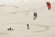 Ozone Flow can Buggy and Landboard